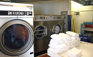 Ozone Laundry - White